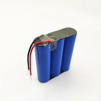 Samsung 18650 11,1 V 2600 mAh Li-Ionen-Akku f&uuml;r CCTV-Kamera