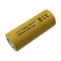 LTO-Batterie