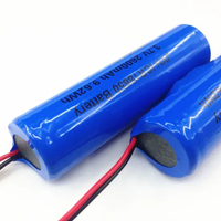 Bater&iacute;a de litio en espera Luminary 18650 2200mAh