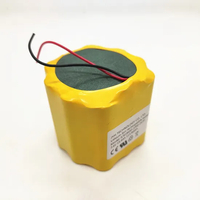 Bateria de &iacute;on de l&iacute;tio 2s7p para detector