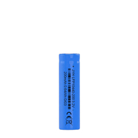 LFP10440-200 Miniatur-Lithium-Eisenphosphat-Batterie